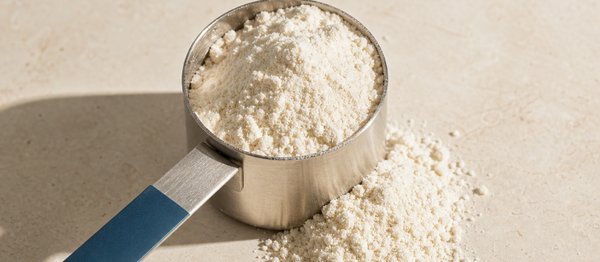 Fine protein powder in a metal measure